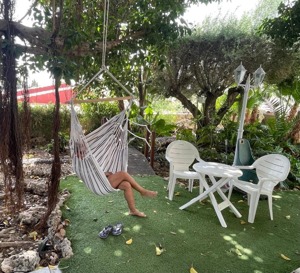 Suite Privada Frente A La Piscina Para 2 Personas Con Sofa Cama Para 2 Mas 4P No Es Casa Completa San Vicente Raspeig Dış mekan fotoğraf
