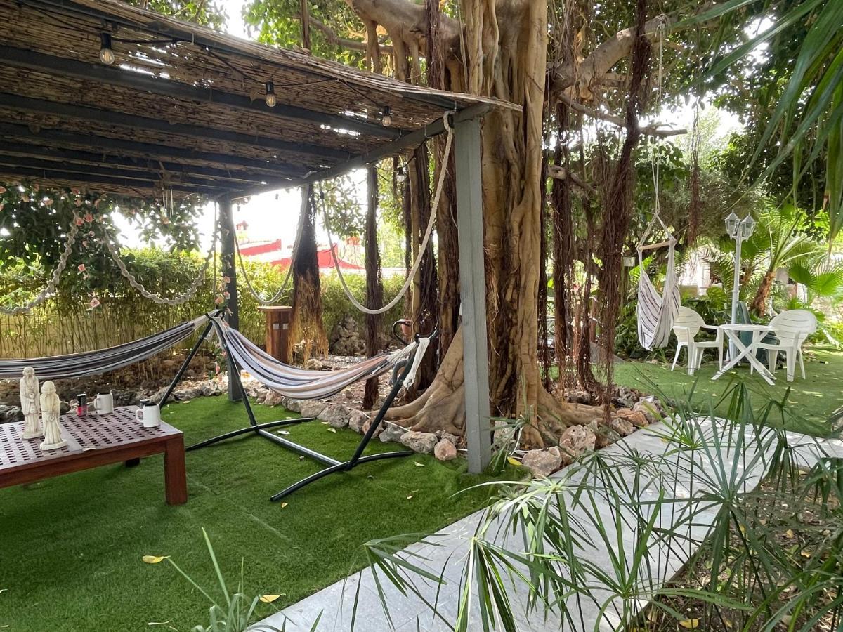 Suite Privada Frente A La Piscina Para 2 Personas Con Sofa Cama Para 2 Mas 4P No Es Casa Completa San Vicente Raspeig Dış mekan fotoğraf